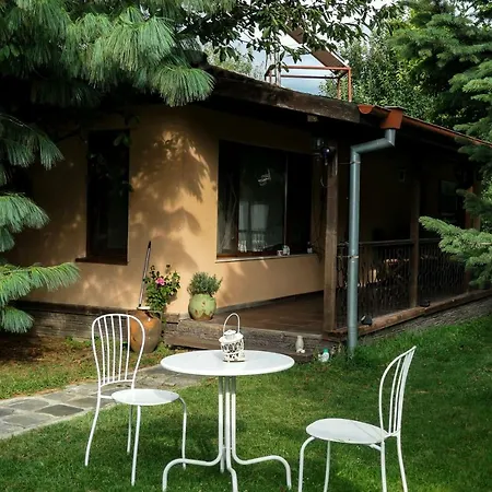 Homestay Cozy Room With A Garden